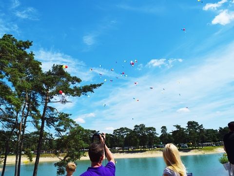 Oostappen park Blauwe Meer - Camping Belgisch Limburg - Afbeelding N°2