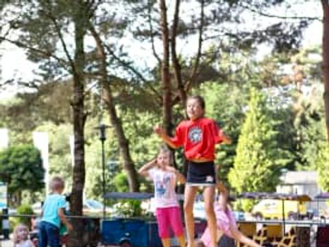 Oostappen park Brugse Heide - Camping Valkenswaard - Image N°50