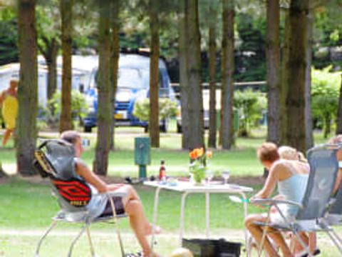 Oostappen park Brugse Heide - Camping Valkenswaard - Image N°56