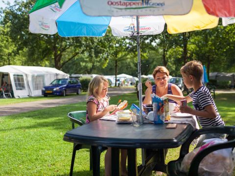 Oostappen park Brugse Heide - Camping Valkenswaard - Image N°6