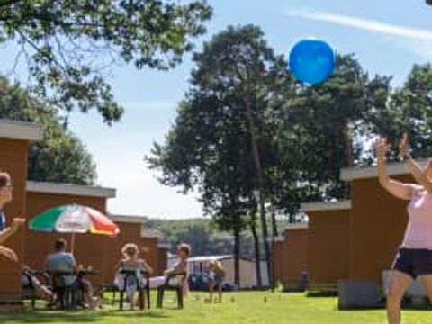 Oostappen park De Berckt - Camping Peel en Maas - Image N°81