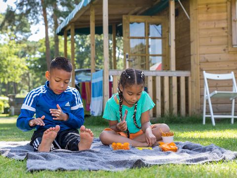 Oostappen park De Berckt - Camping Peel en Maas - Image N°11