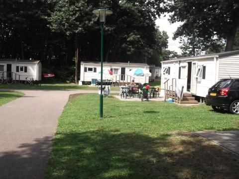 Oostappen park De Berckt - Camping Peel en Maas - Image N°13