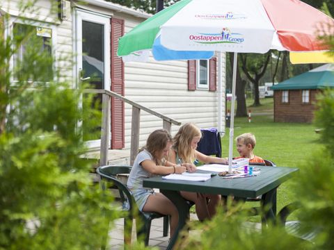 Oostappen park De Berckt - Camping Peel en Maas - Image N°26