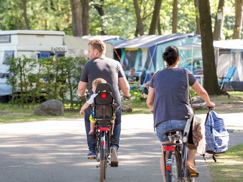 Oostappen park De Berckt - Camping Peel en Maas - Image N°33