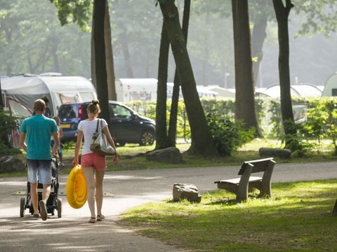 Oostappen park De Berckt - Camping Peel en Maas - Image N°32