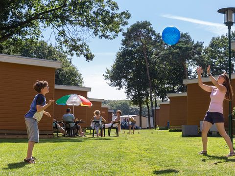 Oostappen park De Berckt - Camping Peel en Maas - Image N°31