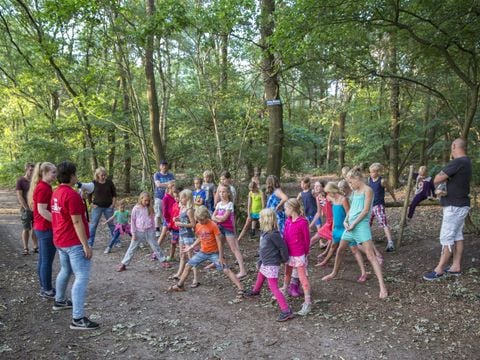 Vakantiepark De Luttenberg - Camping Raalte - Image N°22