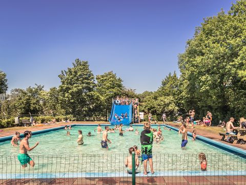 Vakantiepark De Luttenberg - Camping Raalte - Image N°6