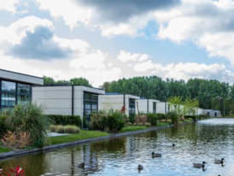 EuroParcs Buitenhuizen - Camping Velsen - Image N°53