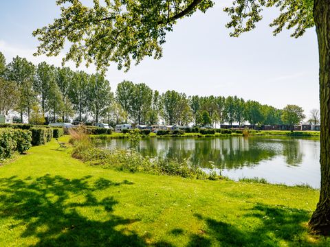 Vakantiepark Eiland van Maurik - Camping Buren - Image N°37