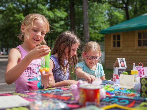 Oostappen park Hengelhoef - Camping Limbourg - Image N°41