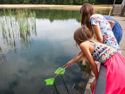 Oostappen park Hengelhoef - Camping Limbourg Belge - Image N°21