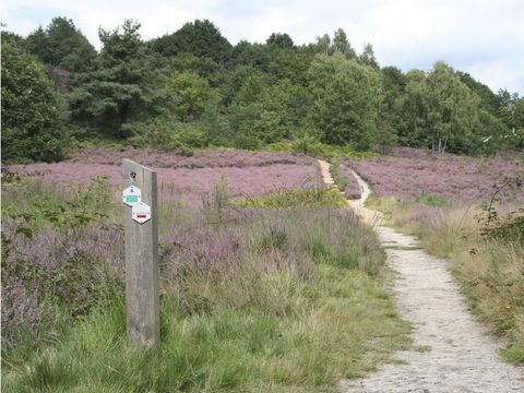 Oostappen park Hengelhoef - Camping Limburg Belge - Image N°50