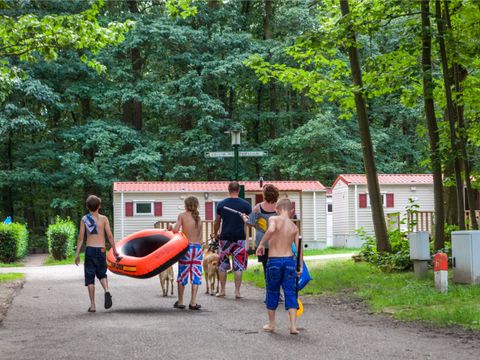 Oostappen park Hengelhoef - Camping Limburg Belge - Image N°55