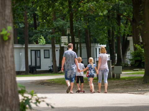 Oostappen park Hengelhoef - Camping Limburg Belge - Image N°35