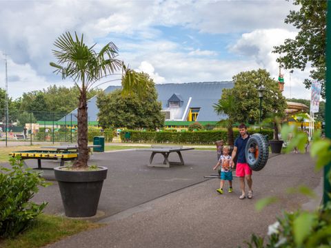 Oostappen park Hengelhoef - Camping Limbourg - Image N°37