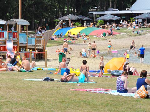 Oostappen park Hengelhoef - Camping Limburg Belge - Image N°7