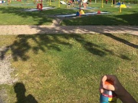 Oostappen park Prinsenmeer - Camping Asten - Image N°73