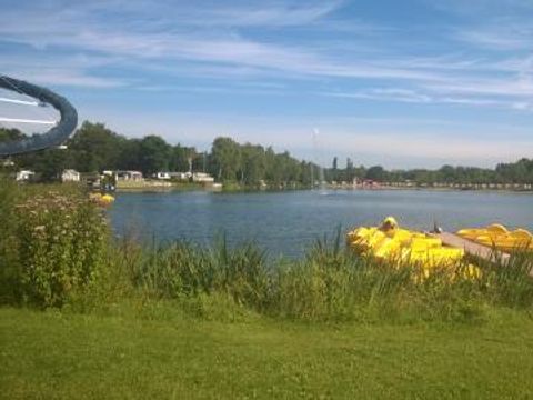 Oostappen park Prinsenmeer - Camping Asten - Image N°31