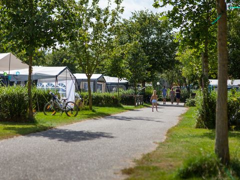 Oostappen park Prinsenmeer - Camping Pays-Bas - Image N°85