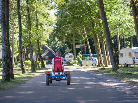 Oostappen park Arnhem - Camping Arnhem - Image N°23