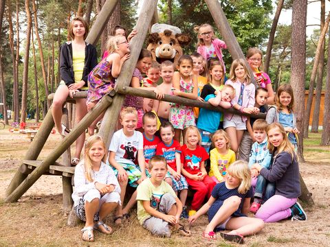 Oostappen park Arnhem - Camping Arnhem - Image N°61