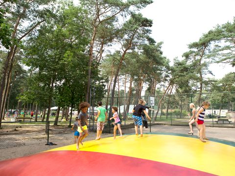 Oostappen park Arnhem - Camping Arnhem - Image N°29