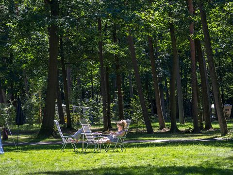 Oostappen park Arnhem - Camping Arnhem - Image N°19