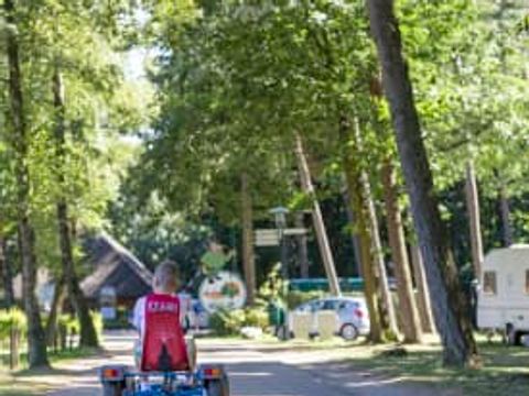 Oostappen park Arnhem - Camping Arnhem - Image N°69