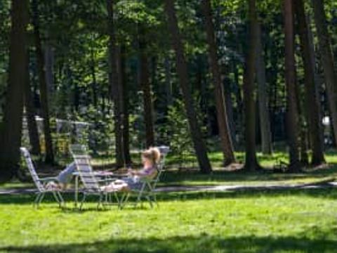 Oostappen park Arnhem - Camping Arnhem - Image N°64