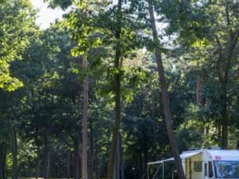 Oostappen park Arnhem - Camping Arnhem - Image N°72