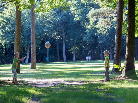 Oostappen park Arnhem - Camping Arnhem - Afbeelding N°5