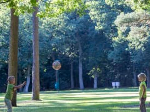 Oostappen park Arnhem - Camping Arnhem - Image N°71