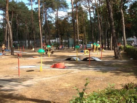 Oostappen park Arnhem - Camping Arnhem - Image N°20