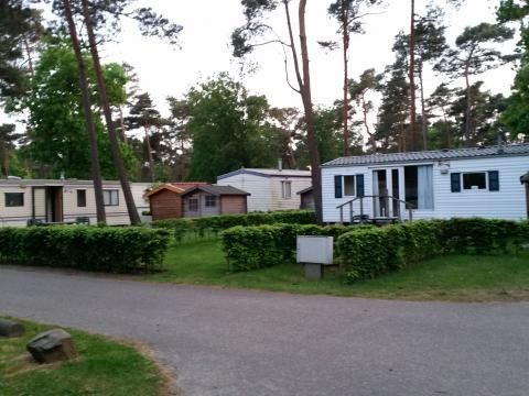 Oostappen park Arnhem - Camping Arnhem - Image N°13