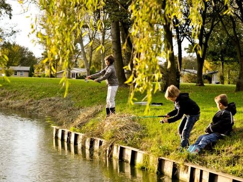 Vakantiepark Het Grootslag - Camping Hollands Kroon - Image N°3