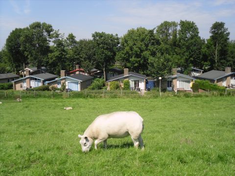 Vakantiepark Het Grootslag - Camping Hollands Kroon - Image N°2