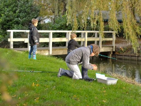 Vakantiepark Het Grootslag - Camping Hollands Kroon - Image N°21