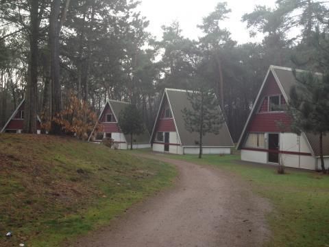 Roompot Bospark 't Wolfsven - Camping Geldrop-Mierlo - Image N°9