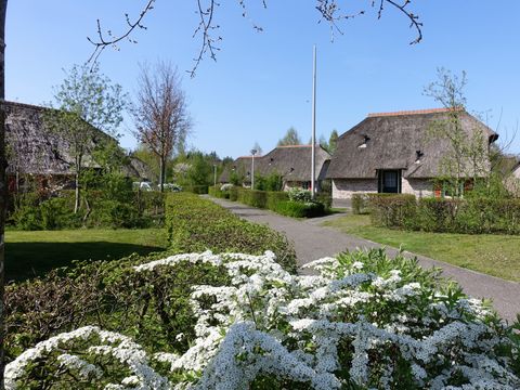 Vakantiepark De Lourenshoeve - Camping Twenteret - Image N°25