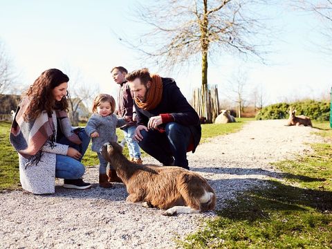 Center Parcs Sandur - Camping Emmen - Image N°47