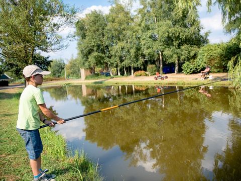 Villapark De Weerribben - Camping Steenwijkerland - Image N°2