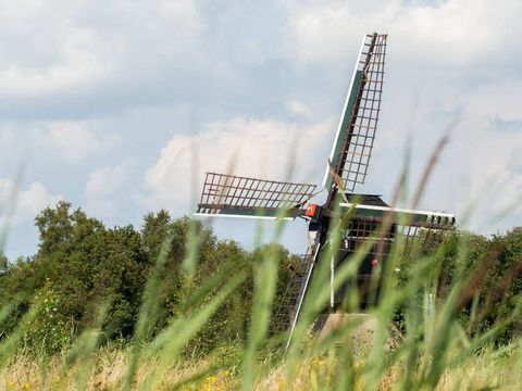 Villapark De Weerribben - Camping Steenwijkerland - Image N°21