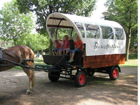 RecreatieParc De Witte Vennen - Camping Venray - Image N°13