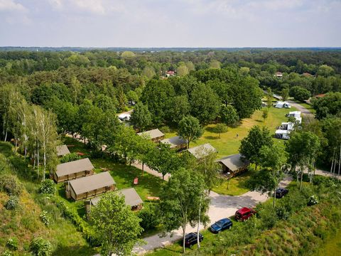 RecreatieParc De Witte Vennen - Camping Venray - Image N°31