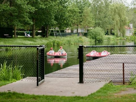 RecreatieParc De Witte Vennen - Camping Venray - Image N°14