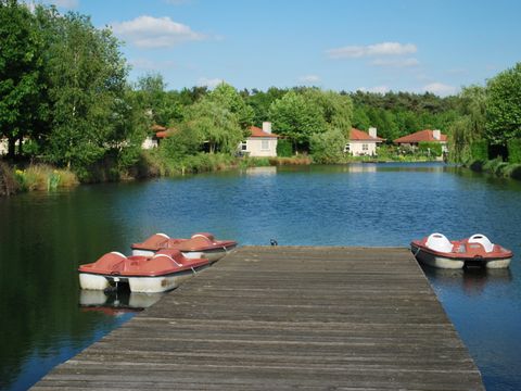 RecreatieParc De Witte Vennen - Camping Venray - Image N°13