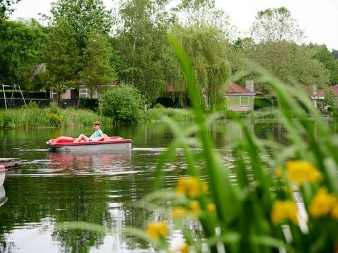 RecreatieParc De Witte Vennen - Camping Venray - Image N°13