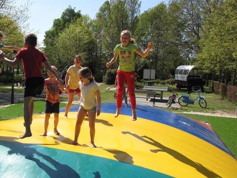 RecreatieParc De Witte Vennen - Camping Venray - Image N°7